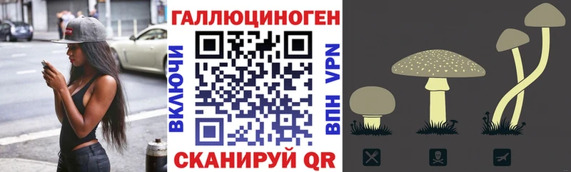 Псилоцибиновые грибы Psilocybe  закладки  Полярные Зори 